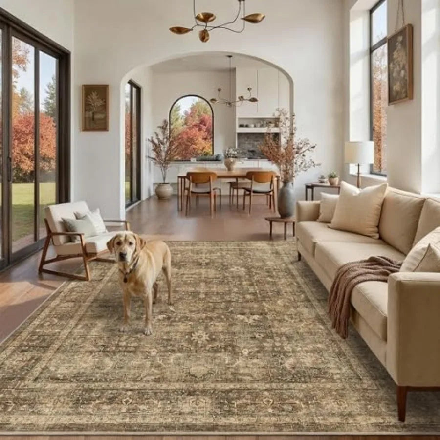 6' x 9' Vintage Boho Area Rug